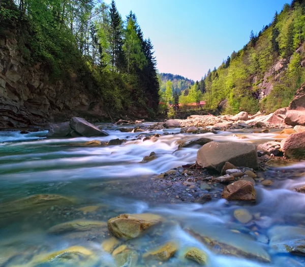 Snabb berg floden — Stockfoto