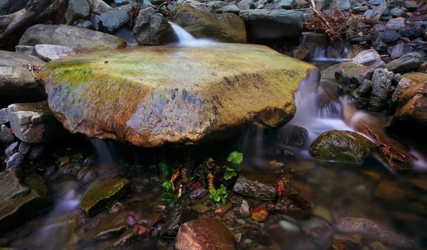 Stone in water