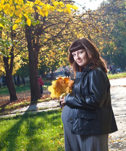 Těhotné ženy v podzimním parku — Stock fotografie