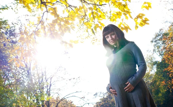 Kobiety w ciąży w parku jesień — Zdjęcie stockowe
