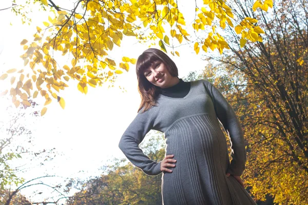 怀孕妇女在秋天公园 — 图库照片