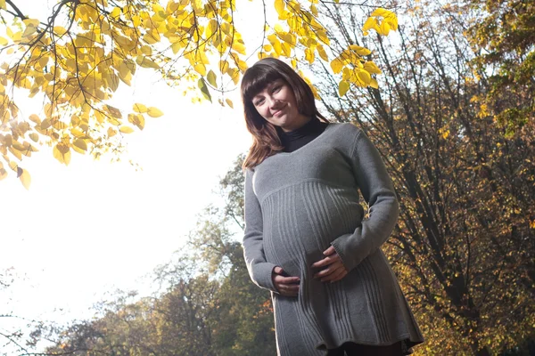 Gravida kvinnor i höst park — Stockfoto