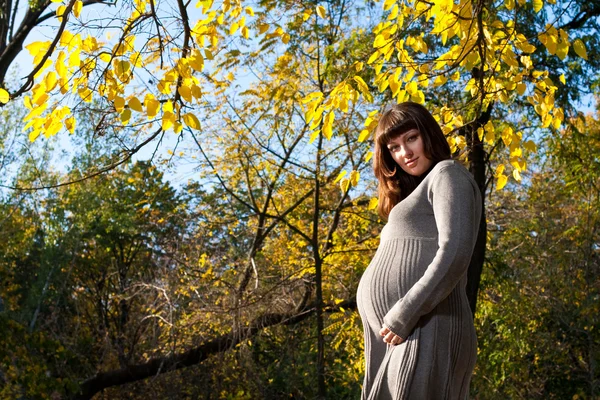 Έγκυες γυναίκες στο πάρκο φθινόπωρο — Φωτογραφία Αρχείου