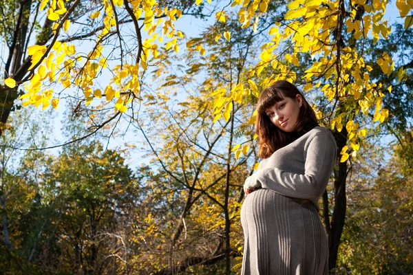 Gravida kvinnor i höst park — Stockfoto