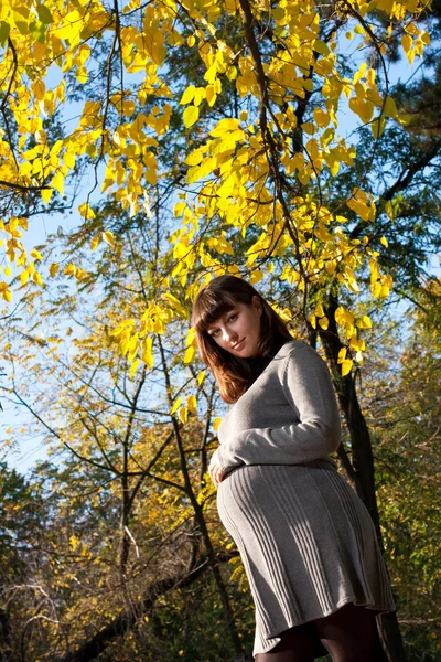 Έγκυες γυναίκες στο πάρκο φθινόπωρο — Φωτογραφία Αρχείου