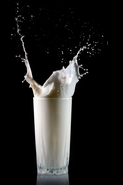 Egy pohár tej. Stock Kép