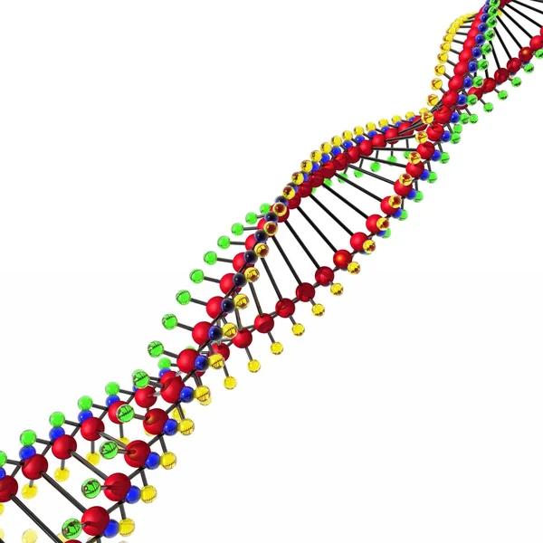 DNA:ta — kuvapankkivalokuva