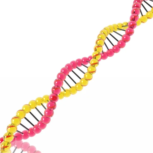 ДНК — стокове фото