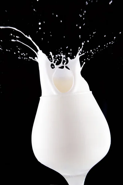 Milch lizenzfreie Stockfotos