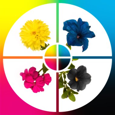 Collage CMYK flowers clipart