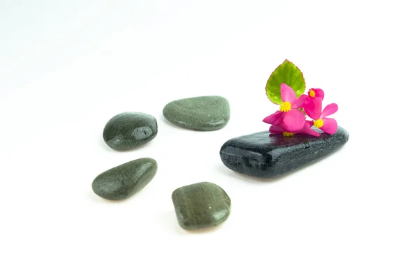 Pedras com flor — Fotografia de Stock