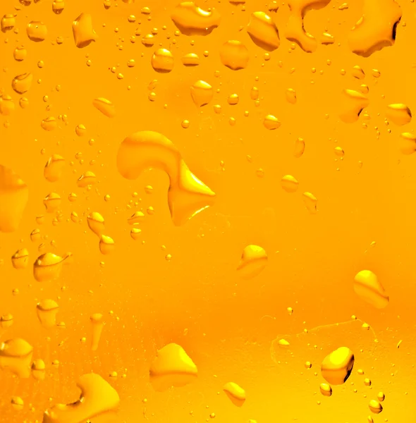 stock image Beer closeup