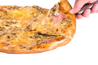 peynirli pizza