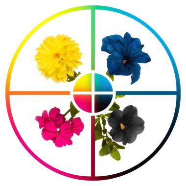 Collage CMYK flowers clipart