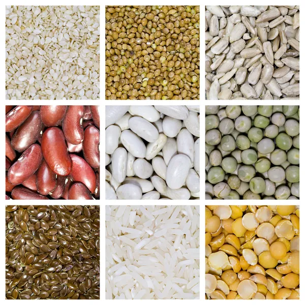 Collage grains de céréales — Photo