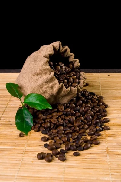 Kaffeesack und Pflanze — Stockfoto