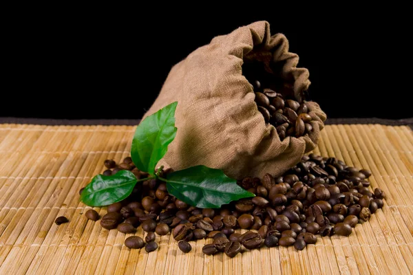 Kaffeesack und Pflanze — Stockfoto