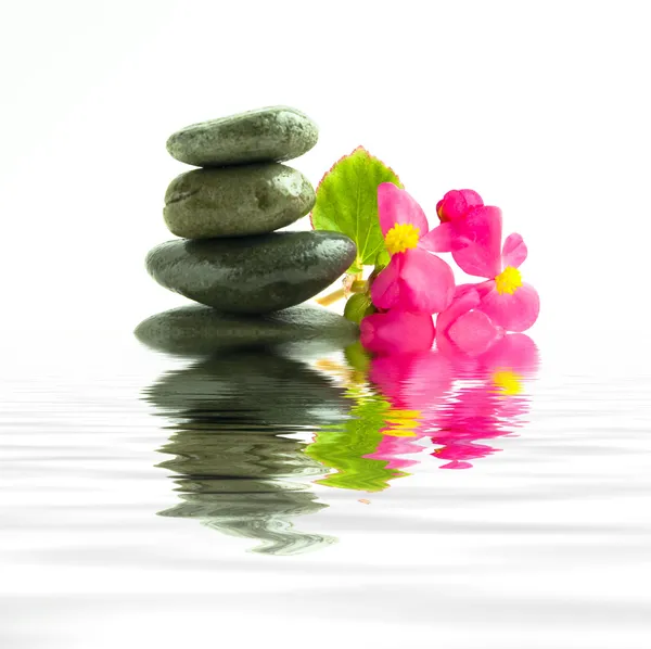 Stones with flower floating in water — Stock Photo, Image