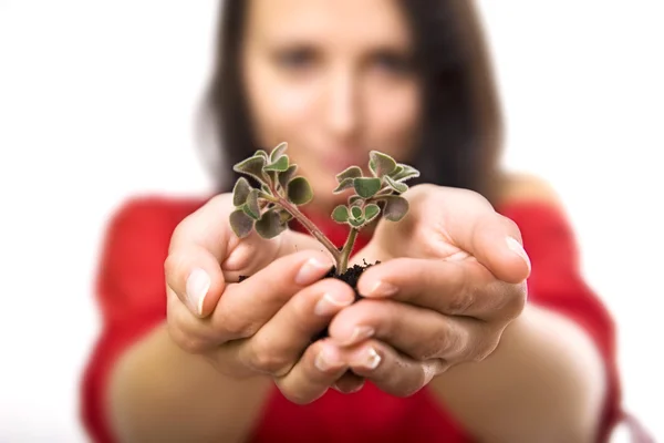 Beauty woman holding young plant — Stock Photo, Image