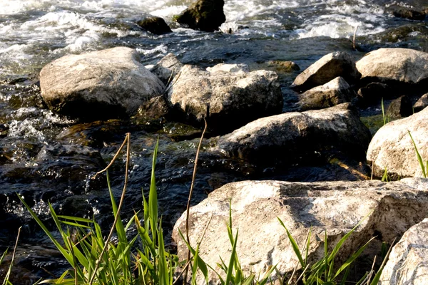 stock image Forest stream