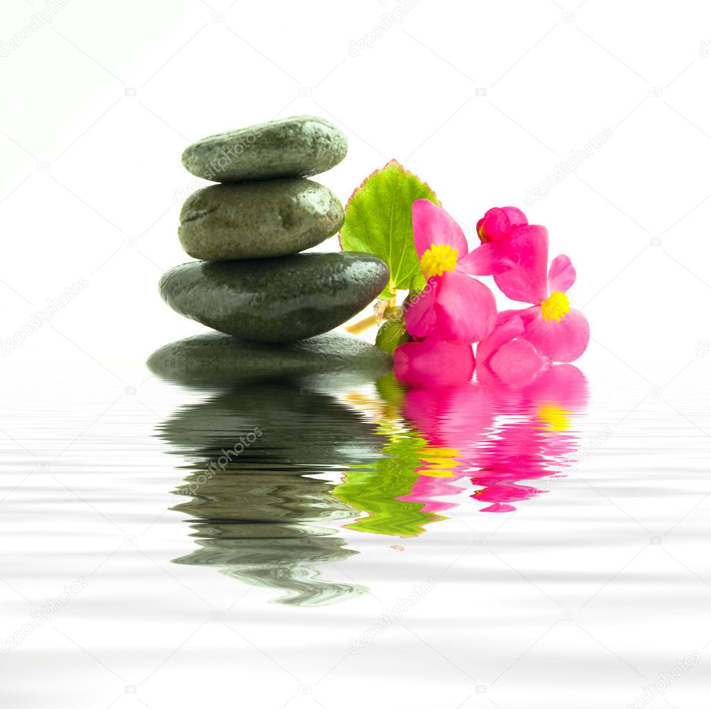 Stones with flower floating in water