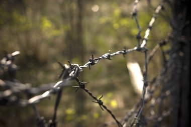 Barb wire fragment clipart