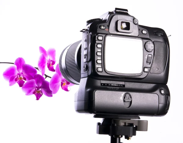 Photographing orchid in photo studio — Stock Photo, Image