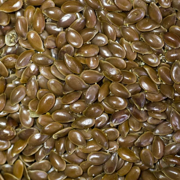 Hnědé lněné semínko — Stock fotografie