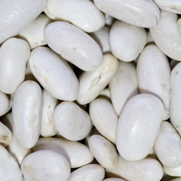 Alimentos a granel: Frijoles blancos — Foto de Stock