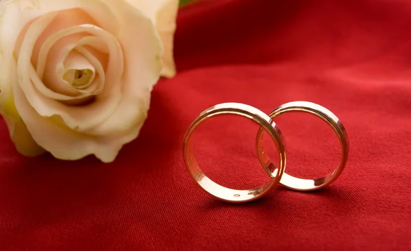 Snubní prsteny a růže Stock Snímky