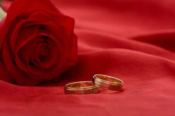 Anneaux de mariage et rose — Photo