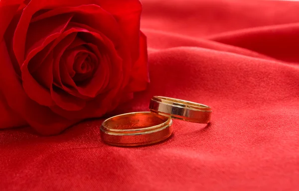 Anneaux de mariage et rose — Photo