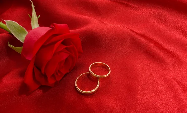 Wedding rings and rose — Stock Photo, Image