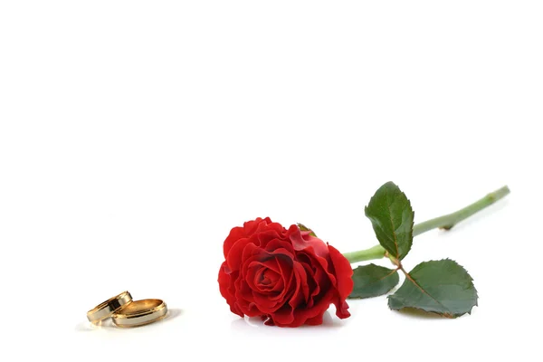 Snubní prsteny a růže Stock Obrázky