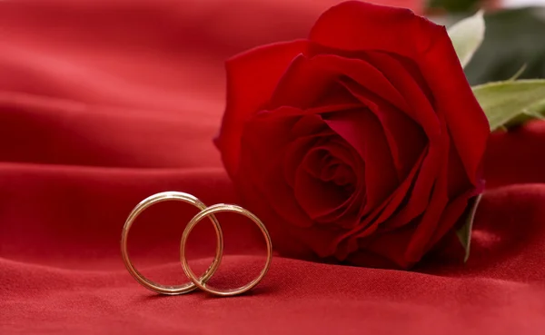 Snubní prsteny a růže Stock Fotografie