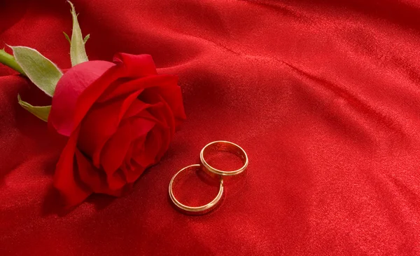 Snubní prsteny a růže Royalty Free Stock Fotografie