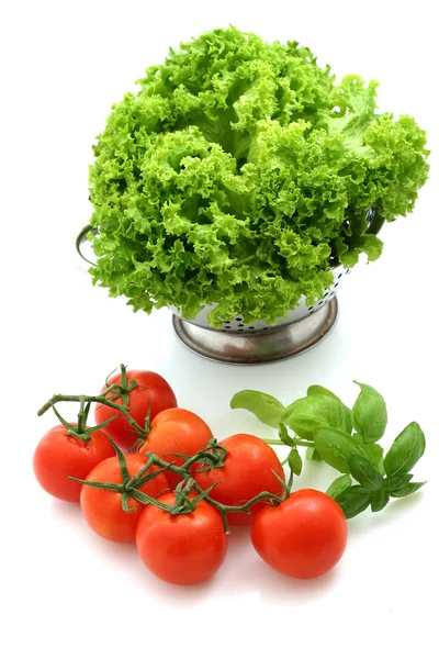 Färsk tomat och sallad — Stockfoto