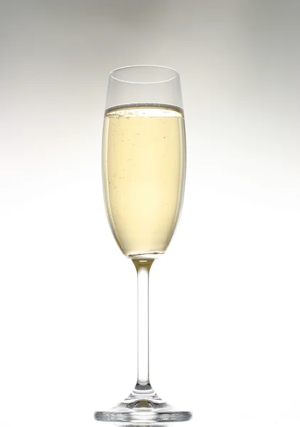 Champagne glass Stock Picture