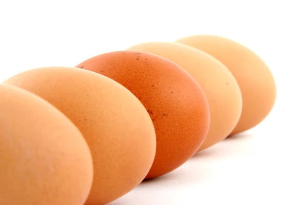 Яйца Лицензионные Стоковые Фото