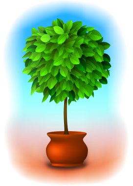 Topiary tree. Vector clipart