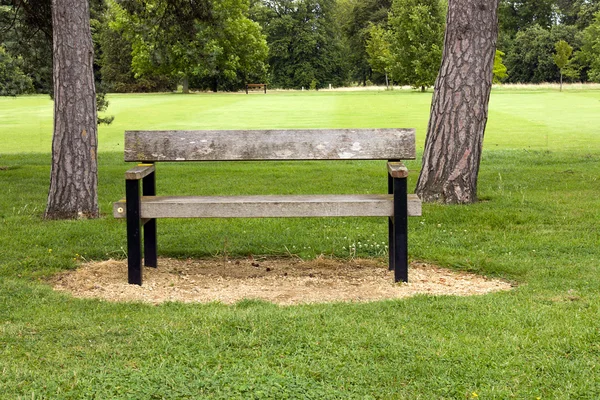The bench — Stock Photo, Image