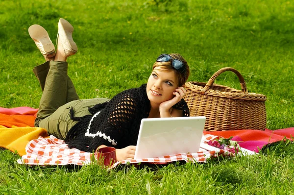 Meşgul piknik — Stok fotoğraf