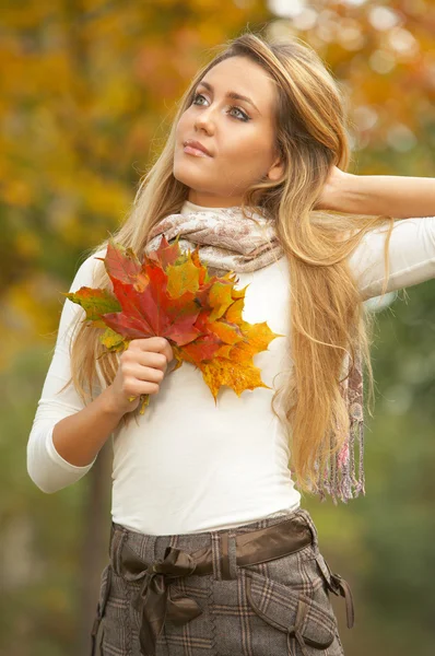 Su otoño. ! — Foto de Stock