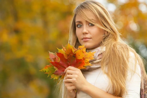 Dess hösten! 2 — Stockfoto