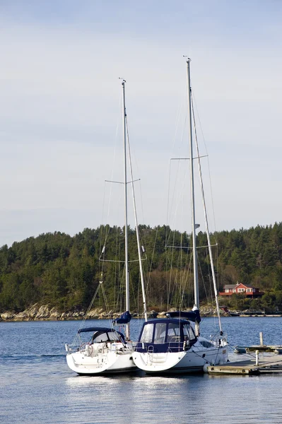 stock image Sailboats