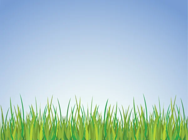 stock vector Grass field