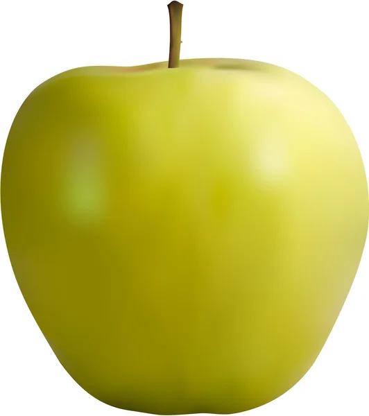 Yeşil elma vektör çizim — Stok Vektör