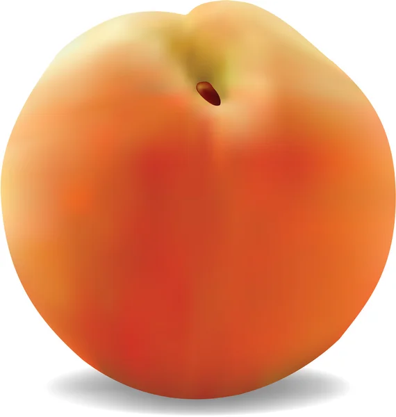 Векторная иллюстрация персика — стоковый вектор