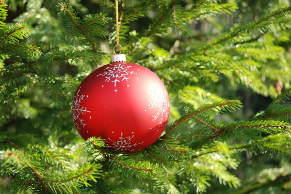 Christmas tree with baubles — Stock Photo, Image