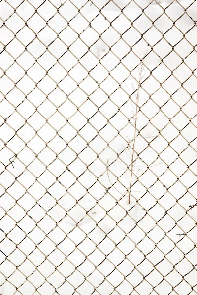 Chainlink çit — Stok fotoğraf